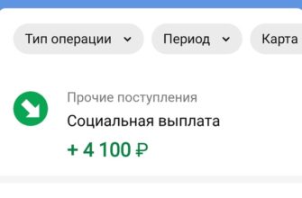 Выплата-от-СФР-направлена-когда-придут-деньги-на-почту-или-карту