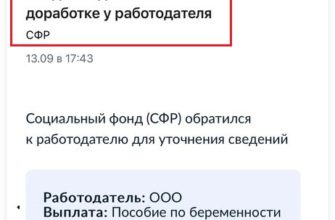 Сведения-для-выплат-на-доработке-у-работодателя-что-это-значит
