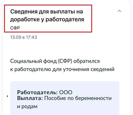 Сведения-для-выплат-на-доработке-у-работодателя-что-это-значит